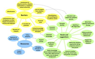 Transnational adoptees in healthcare: barriers, resources, and needs